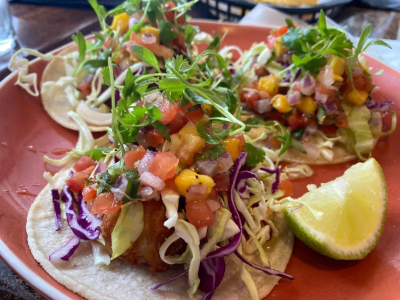1 Classic Beer Battered Halibut Tacos