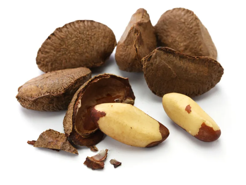 1. Brazil Nuts