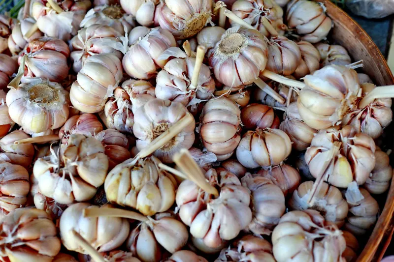 1. Garlic