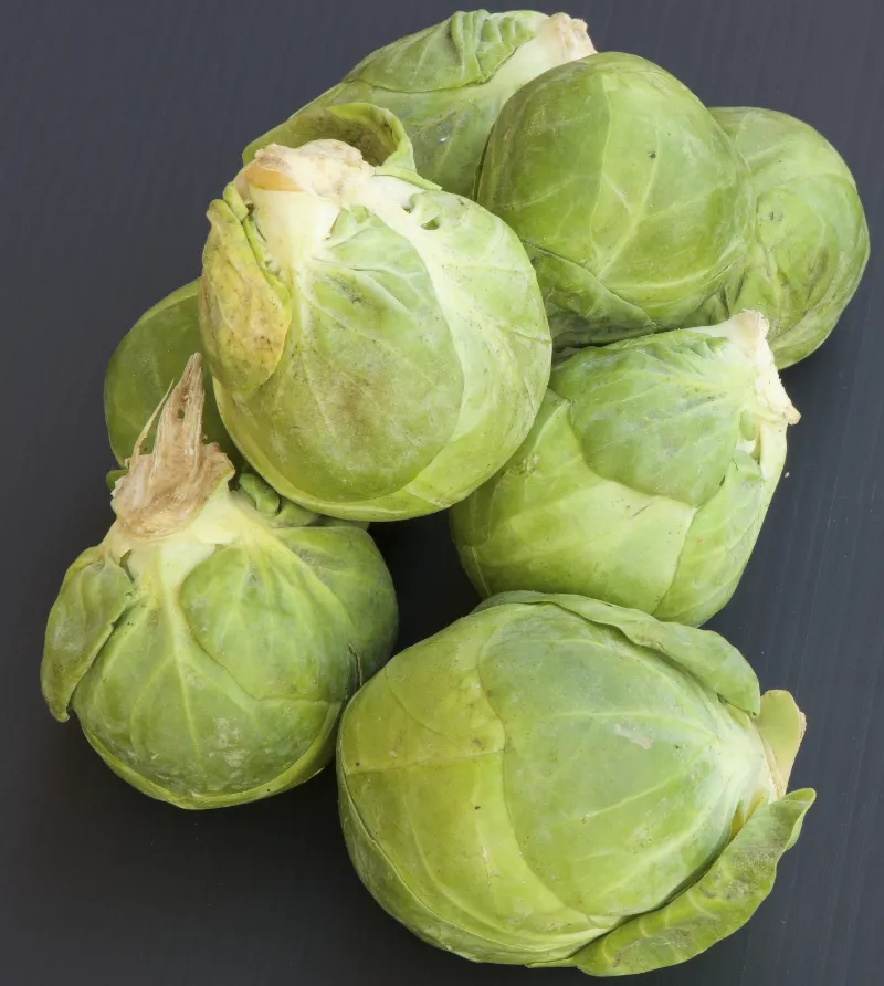 10. Brussels Sprouts
