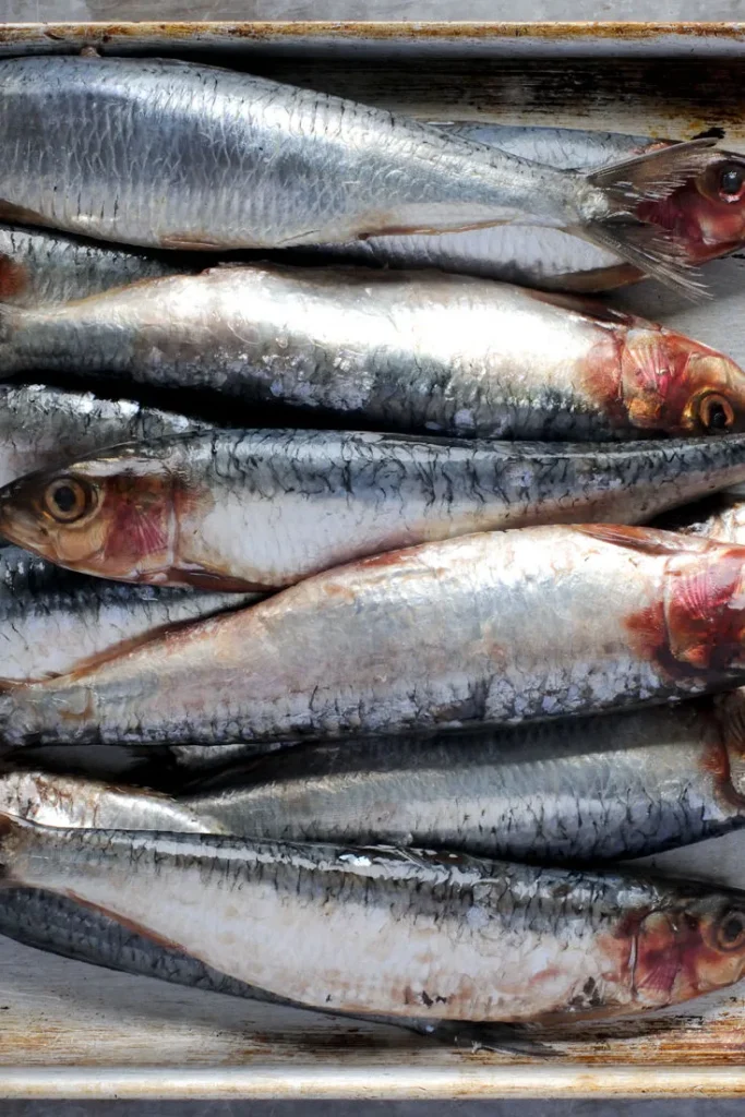 10. Sardines