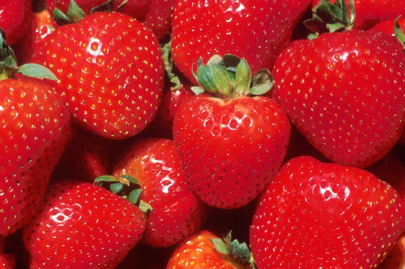 10. Strawberries 2