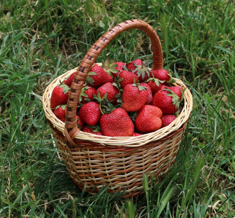20 Powerful Estrogen-Boosting Foods That Naturally Support Hormonal Balance 10. Strawberries