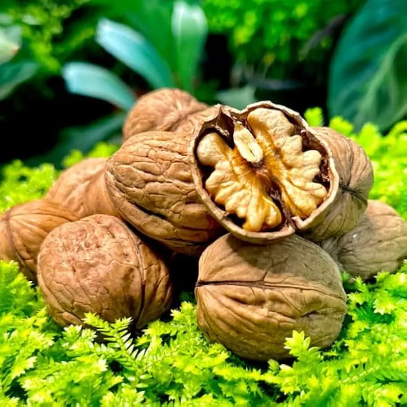 10. Walnuts