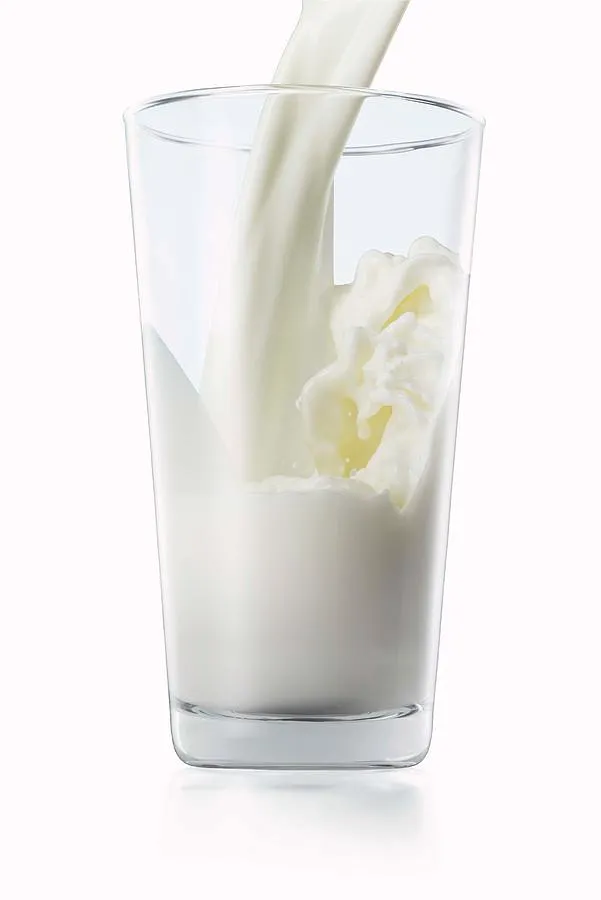 11. Dairy Products cows milk