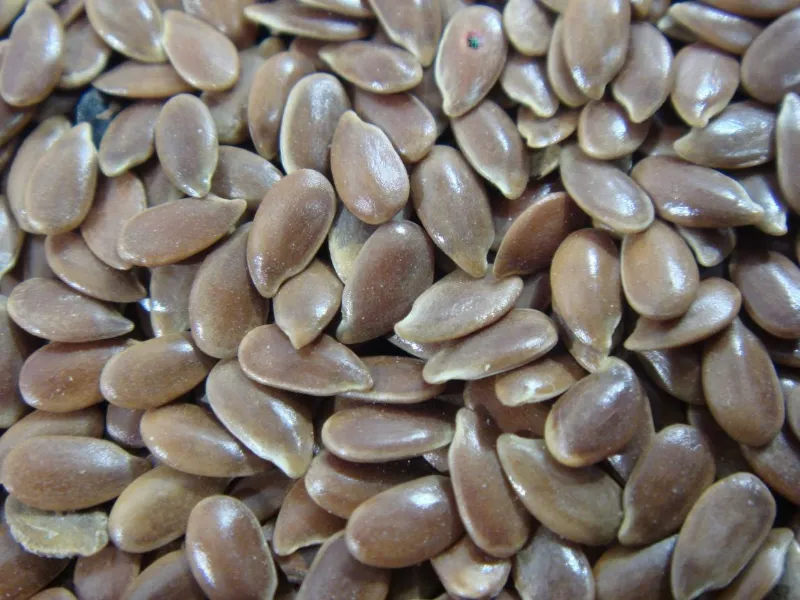 11. Flaxseeds 1