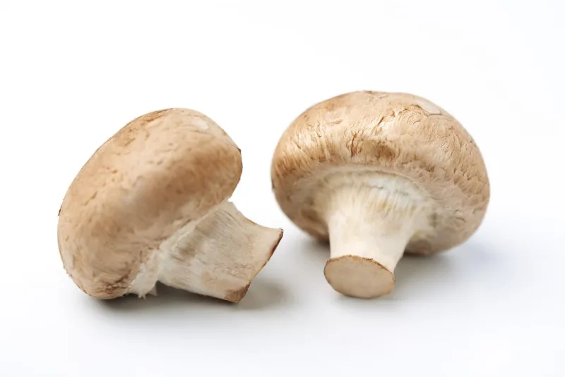 11. UV Exposed Portobello Mushrooms