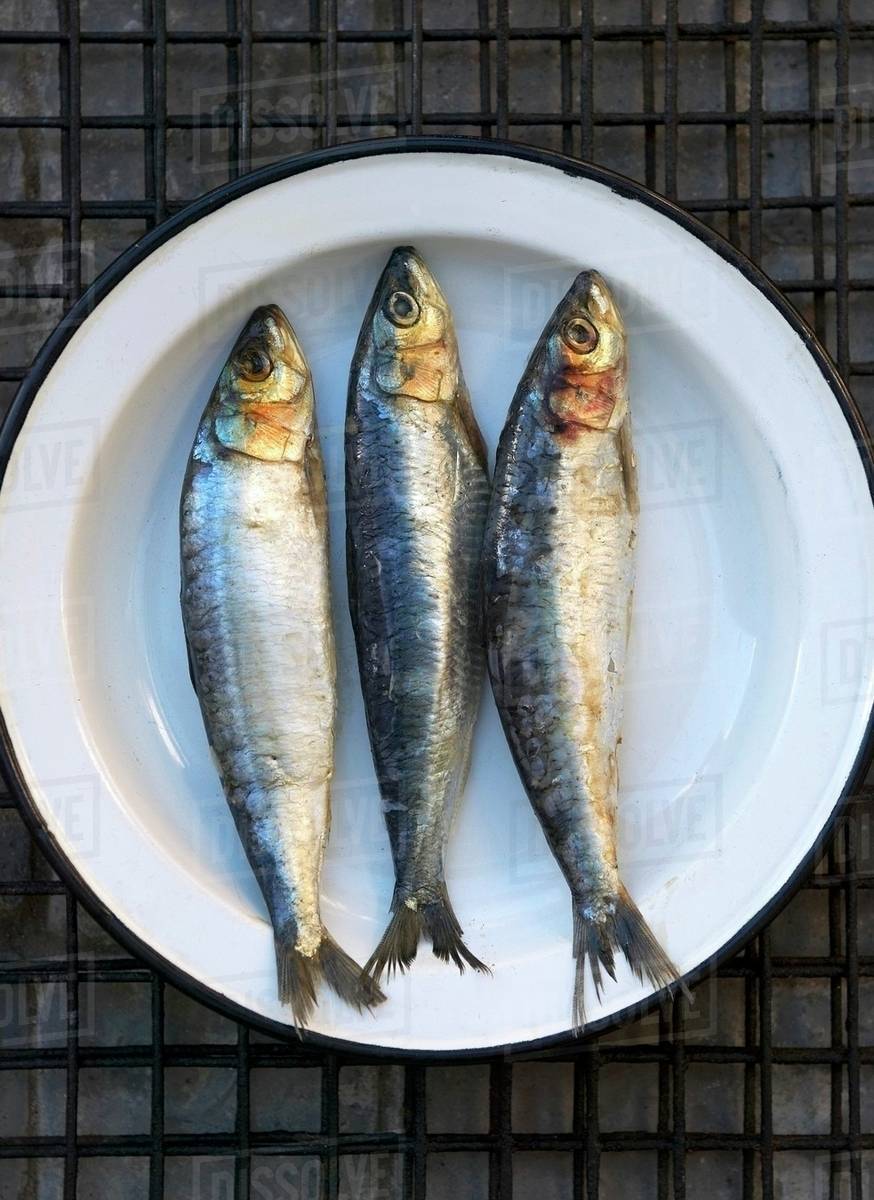 12. Sardines