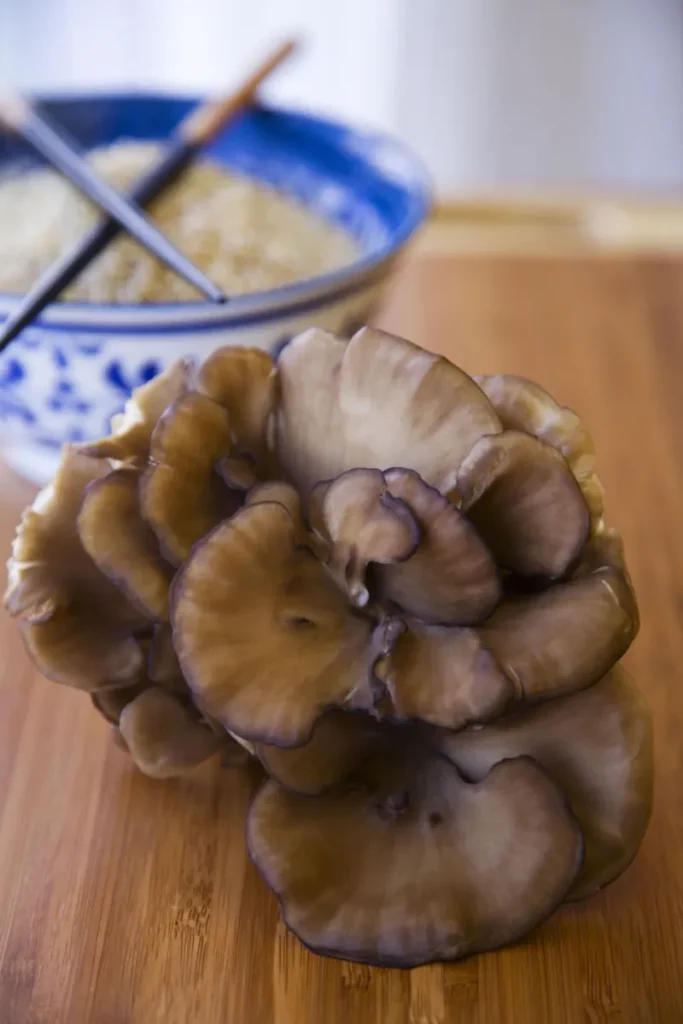 12. UV Exposed Maitake Mushrooms