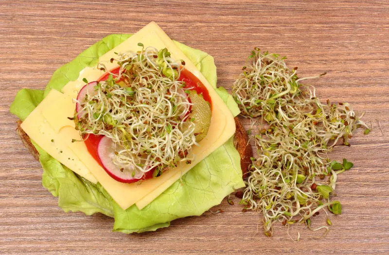 20 Powerful Estrogen-Boosting Foods That Naturally Support Hormonal Balance 13. Alfalfa Sprouts