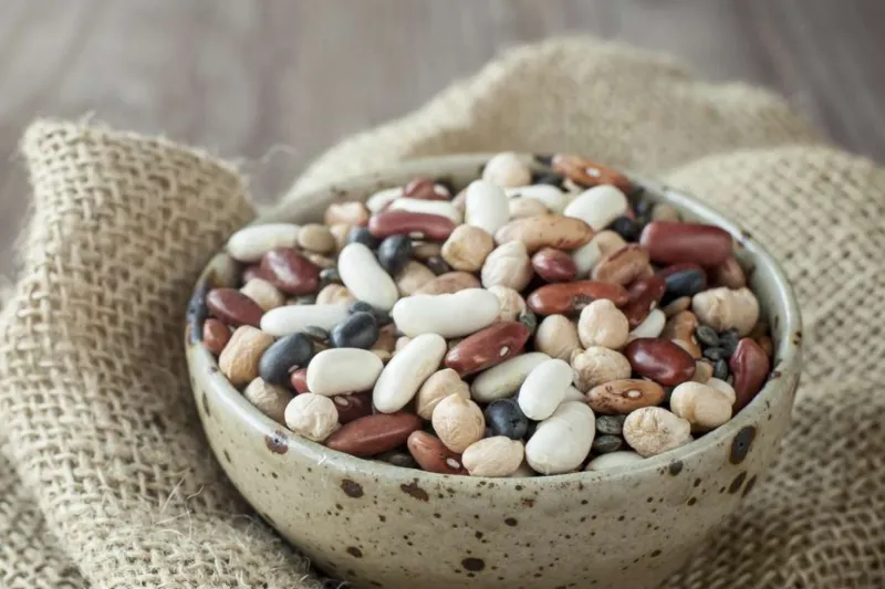 13. Beans and Legumes