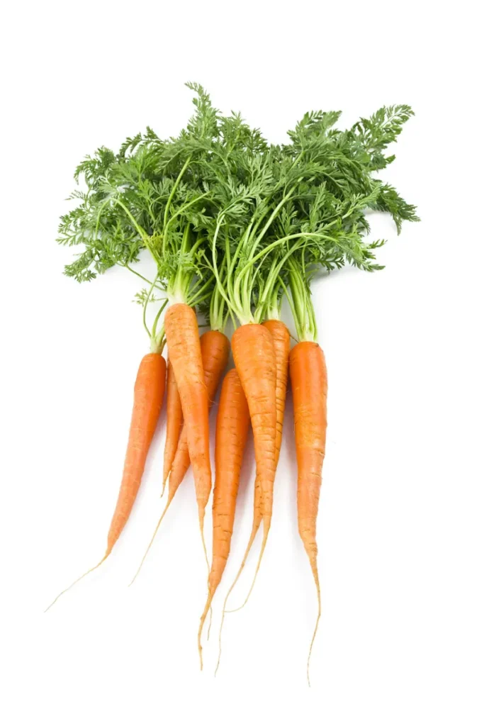 13. Carrots