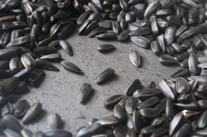 13. Sunflower Seeds