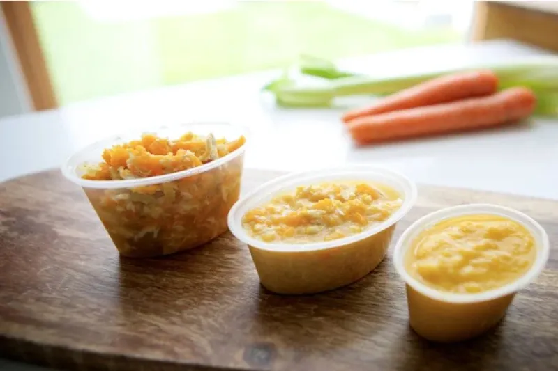 15 Blended Chicken Veggie Puree