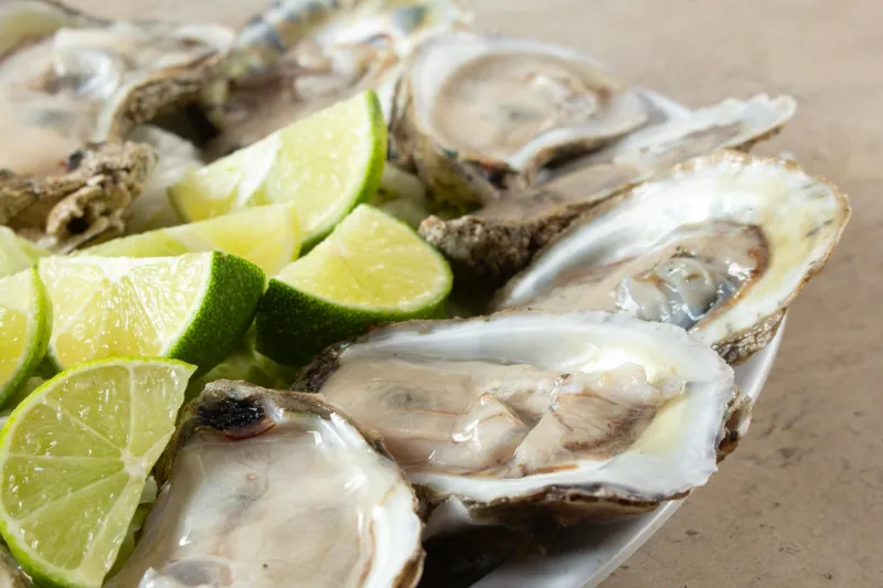 15. Oysters