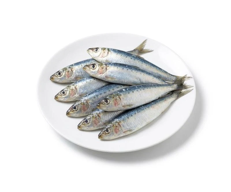 15. Sardines
