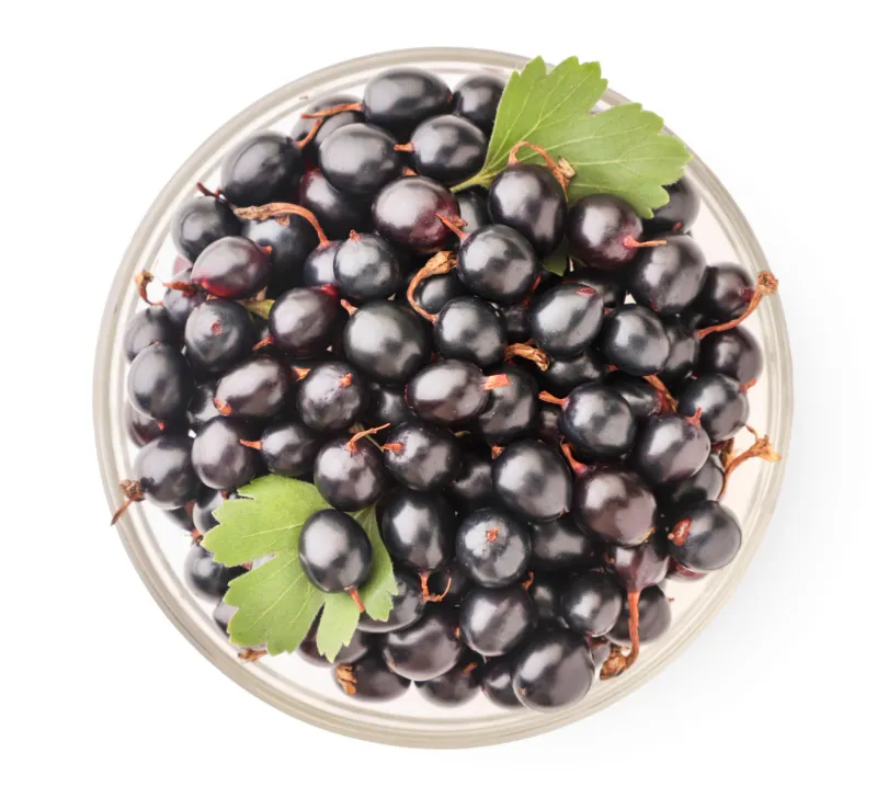 17. Blackcurrants