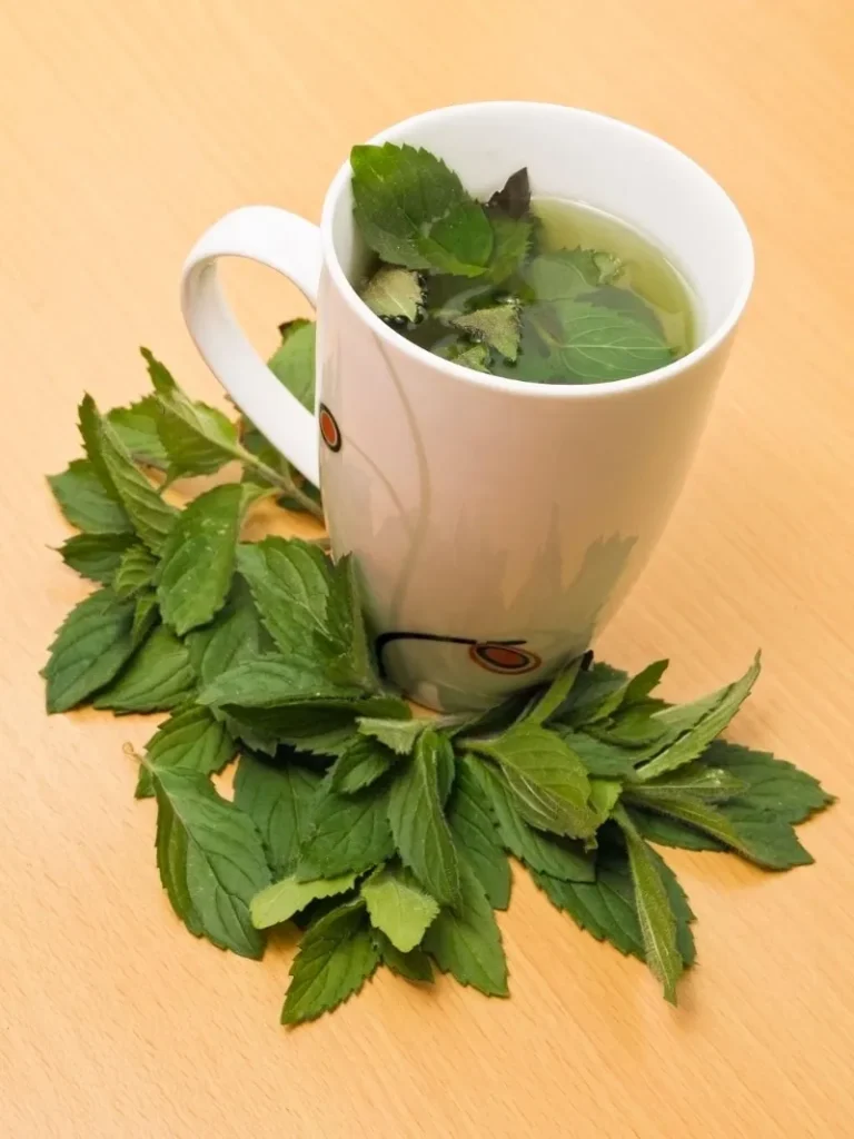 17. Peppermint Tea