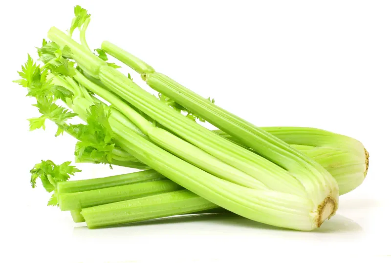 19. Celery 1