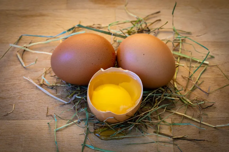 19. Egg Yolks Pasture Raised