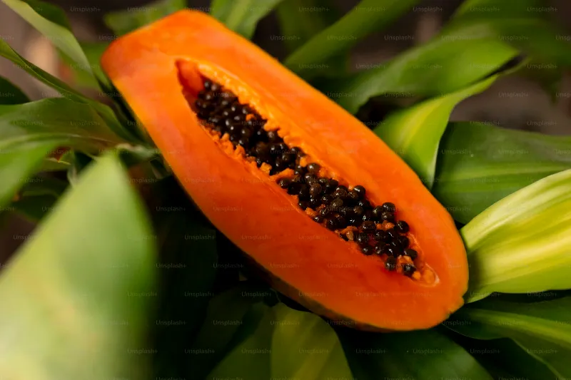 19. Papaya