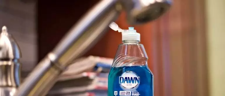 Dawn Dish Soap As Shower Cleaner