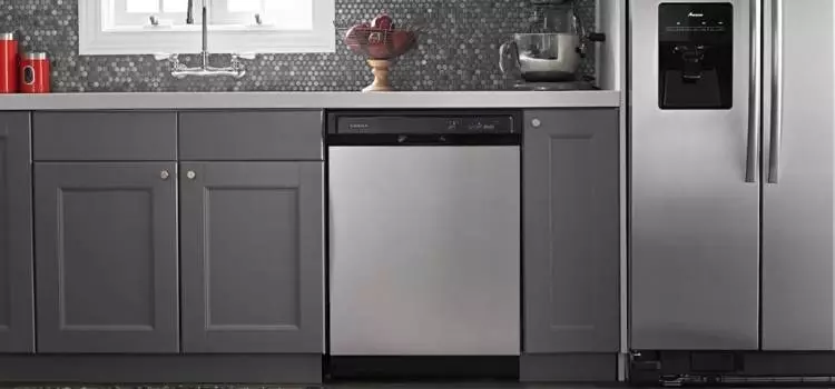 Who Makes Amana Dishwashers In 2022?