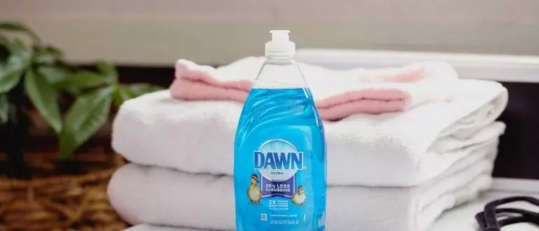Can You Use Dish Soap As Laundry Detergent?