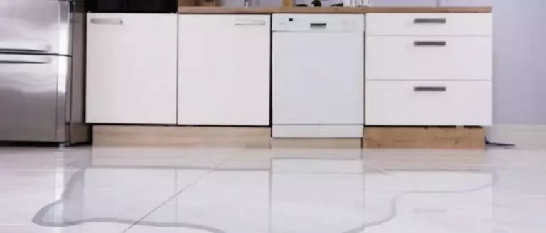 What Is The Most Common Cause Of A Dishwasher Leaking?