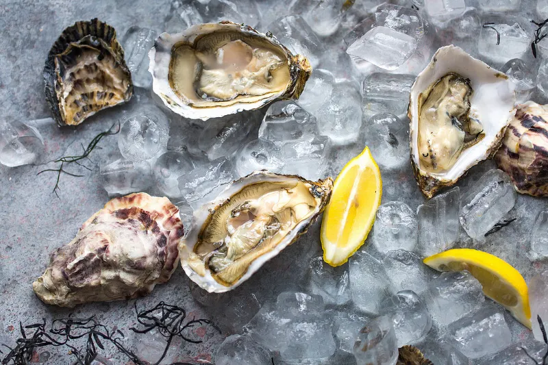 21. Oysters