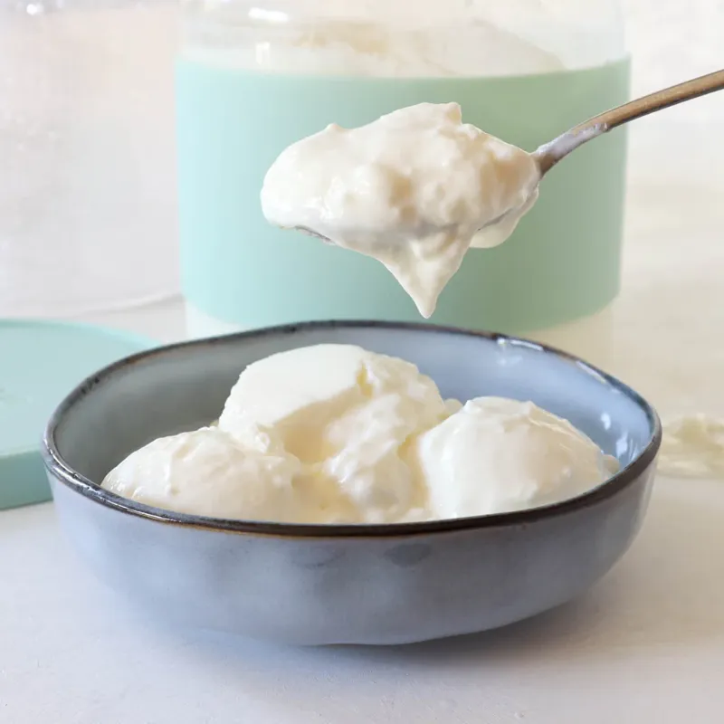 22. Greek Yogurt