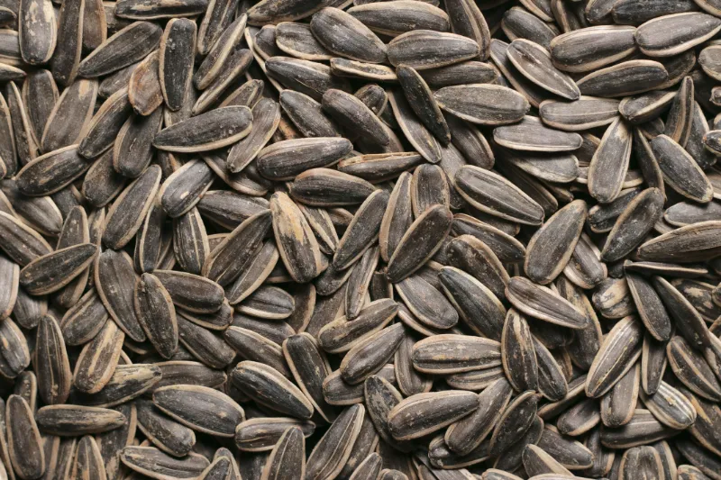 23. Sunflower Seeds