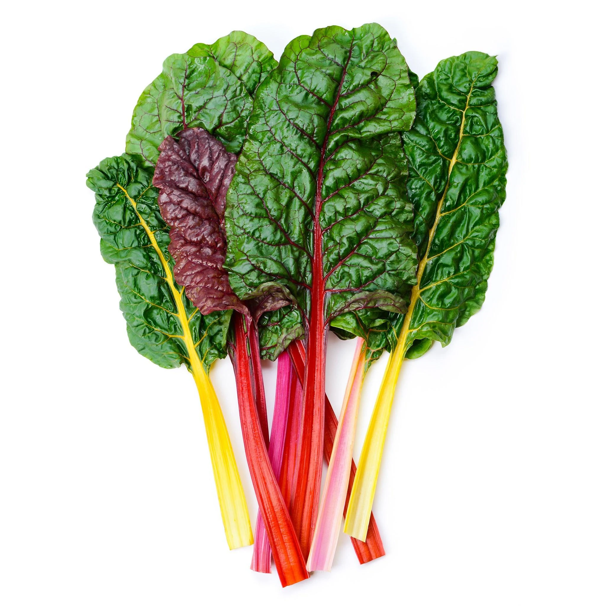 23. Swiss Chard 1