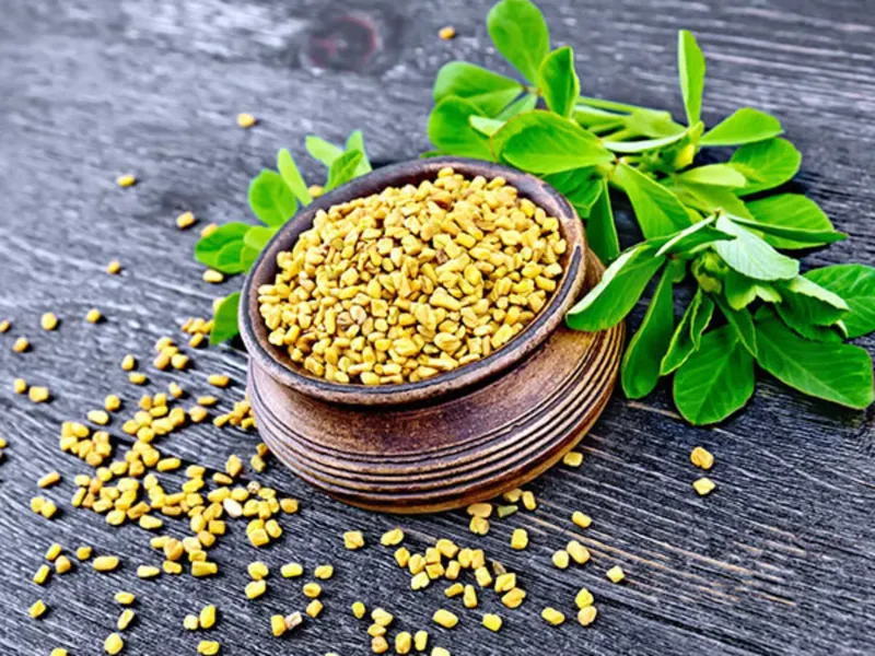 24. Fenugreek