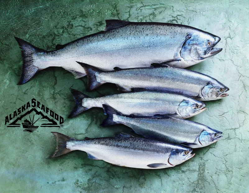25. Farmed Salmon