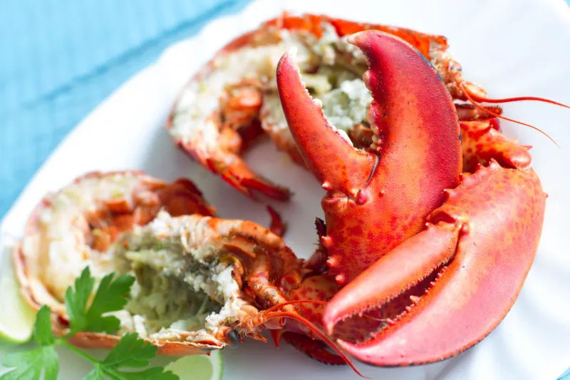 25. Lobster
