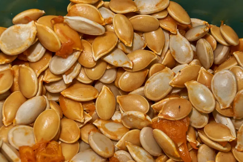 25. Pumpkin Seeds