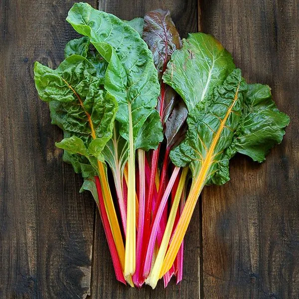 28. Swiss Chard