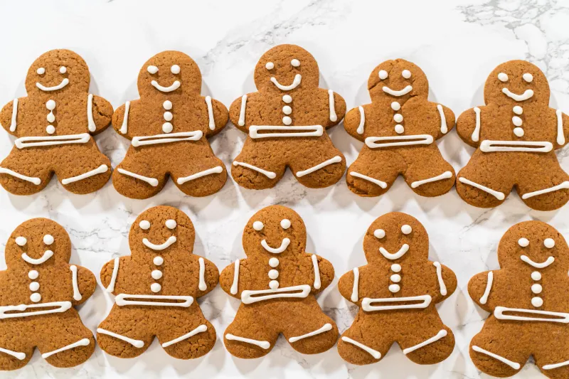10 Best Ginger Cookie Recipes That Will Fill Your Kitchen with the Most Incredible Smell 3 Gingerbread Cut Out Cookies