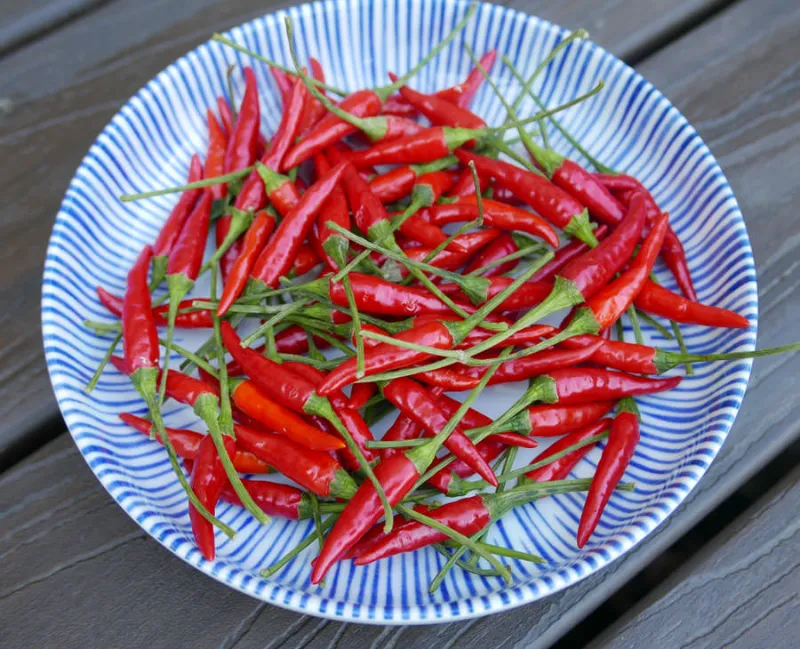 3. Chili Peppers