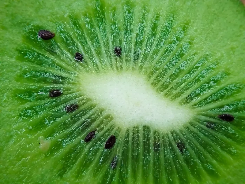 3. Kiwi