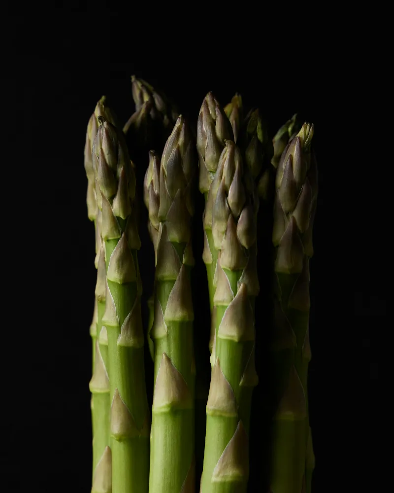 31. Asparagus