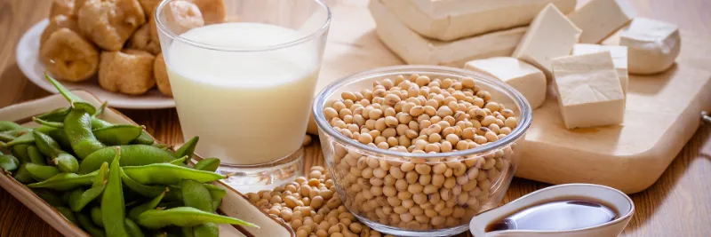 33. Soy Products Processed 1