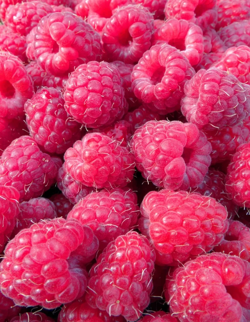 20 Top High-Fiber Superfoods for Optimal Health & Digestion 5. Raspberries