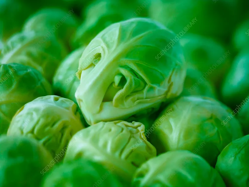 6. Brussels Sprouts