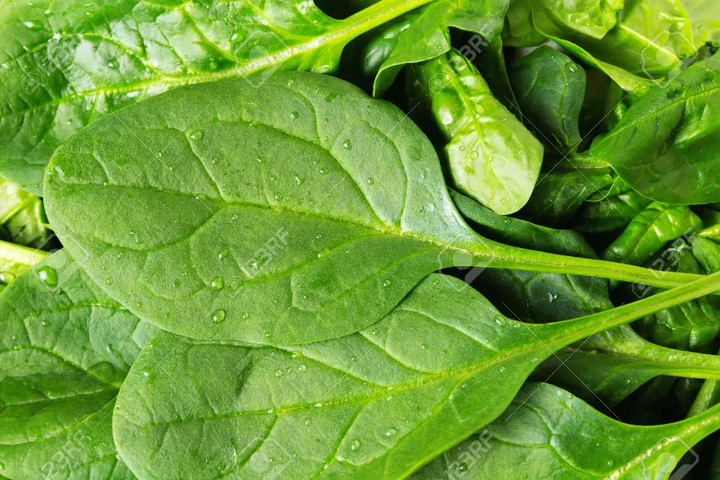 6. Spinach