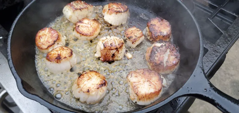 7. Scallops