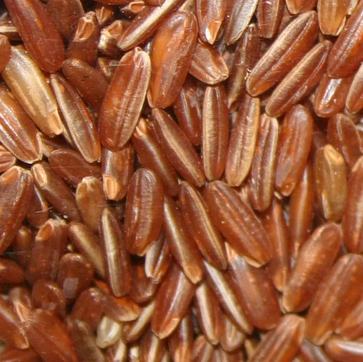 9. Brown Rice