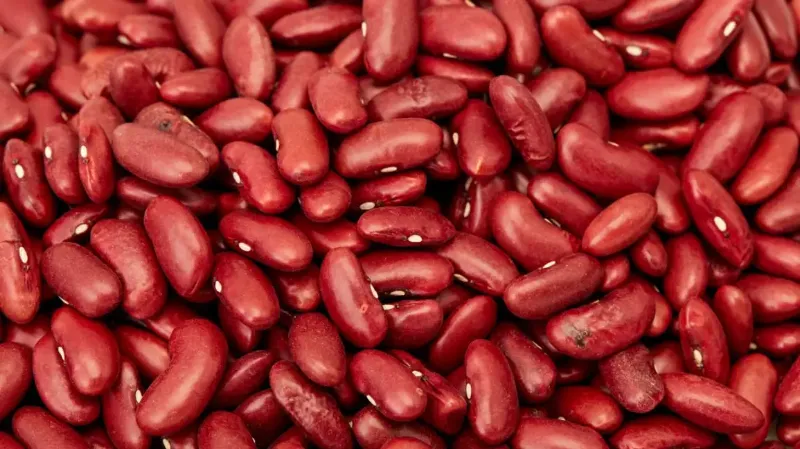 9. Kidney Beans