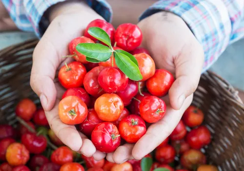 Acerola Cherries